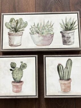 Set of 3 Framed Succulent & Cactus framed canvases - Green